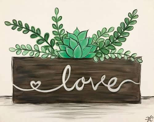 Succulent Love