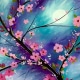 Pink Blossoms
