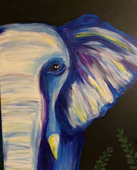 colorful elephant