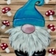 Happy Little Gnome
