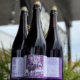 Eight-Foot Brewing Cape Coral