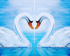 Orlando Sip and Paint: Downtown Swans @ Gravity Taproom
