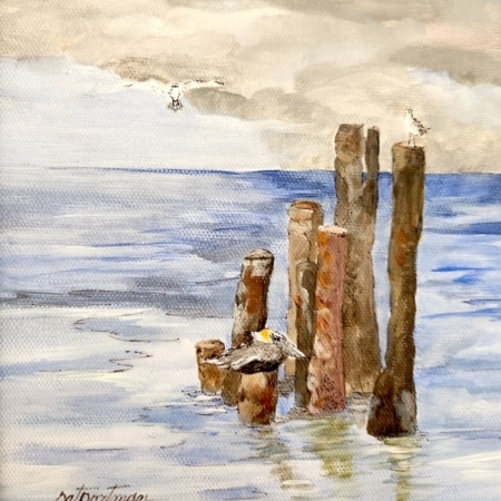 Il Primo - Seagulls Landing