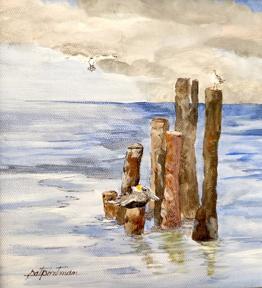 Il Primo - Seagulls Landing