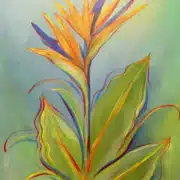 Bird of Paradise