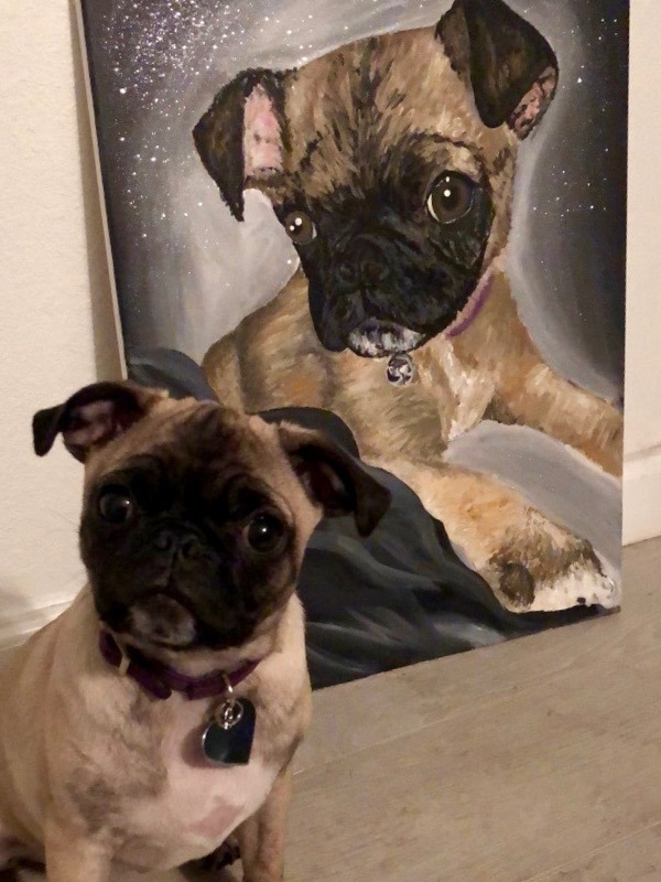 Paint Your Pet Parties