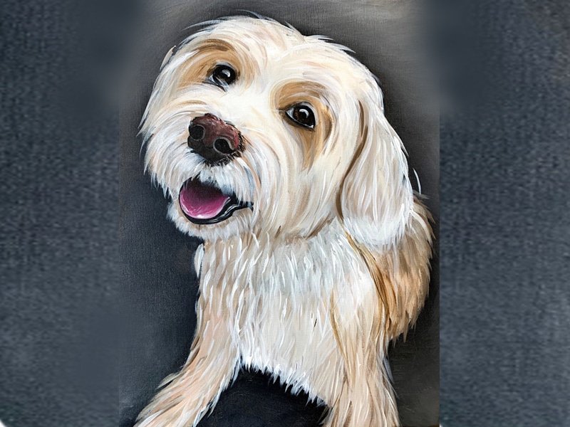 Orlando Paint Your Pet Fundraiser
