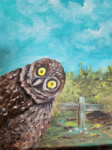 Cape Coral Paint for a Cause - Burrowing Owl