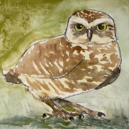 Watercolor Burrowing Owl