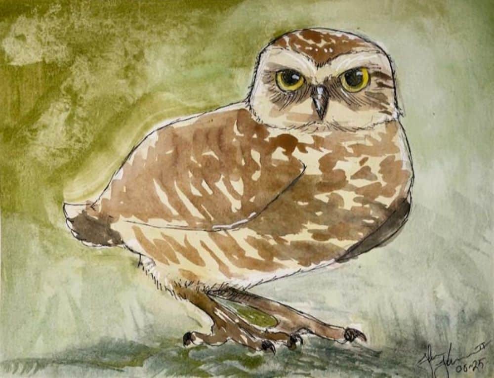 Cape Coral Watercolor Paint Night - Burrowing Owl