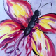 Beautiful Butterfly