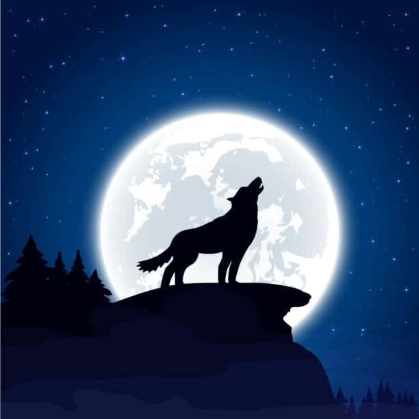 Howl At The Moon