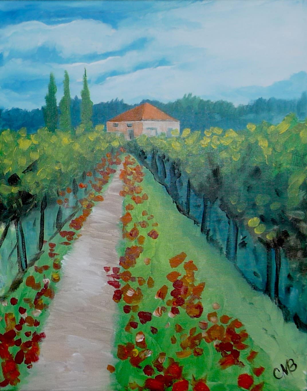 Tuscany Vineyard