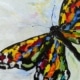 Rainbow Butterfly