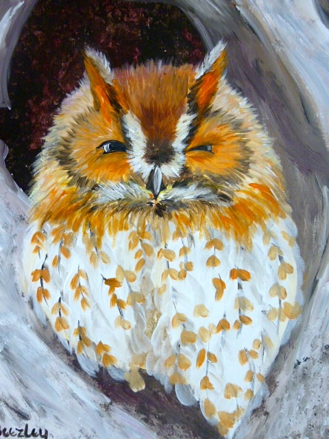 Wise Old Owl
