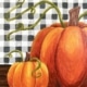 paint and sip Gingham pumpkins