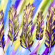 Carmel Paint Party - Glass Feathers