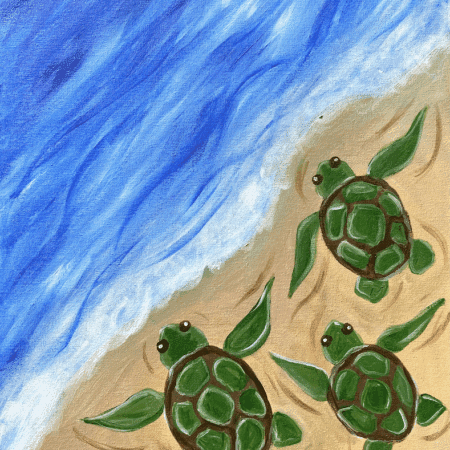 Carmel Art Event - Beach Turtles