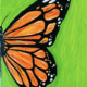 Monarch