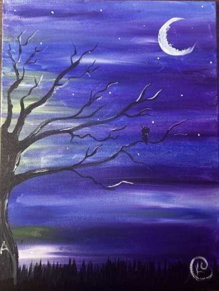 Night Owl