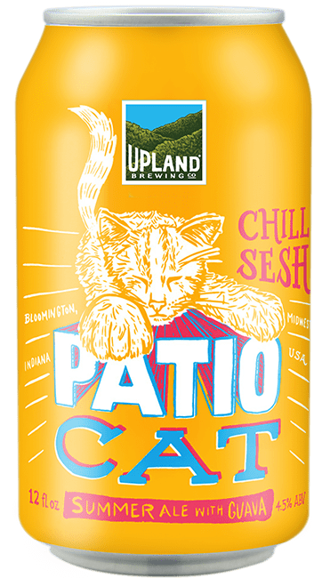 Indy Paint Party - Patio Cat