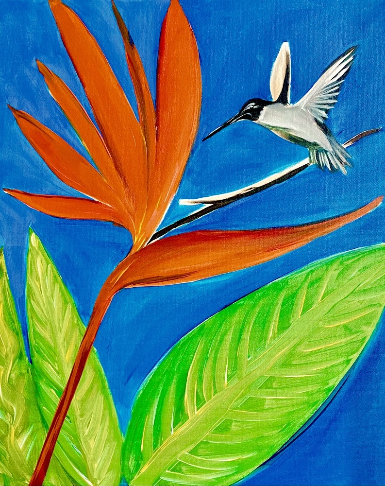 hummingbird in paradise