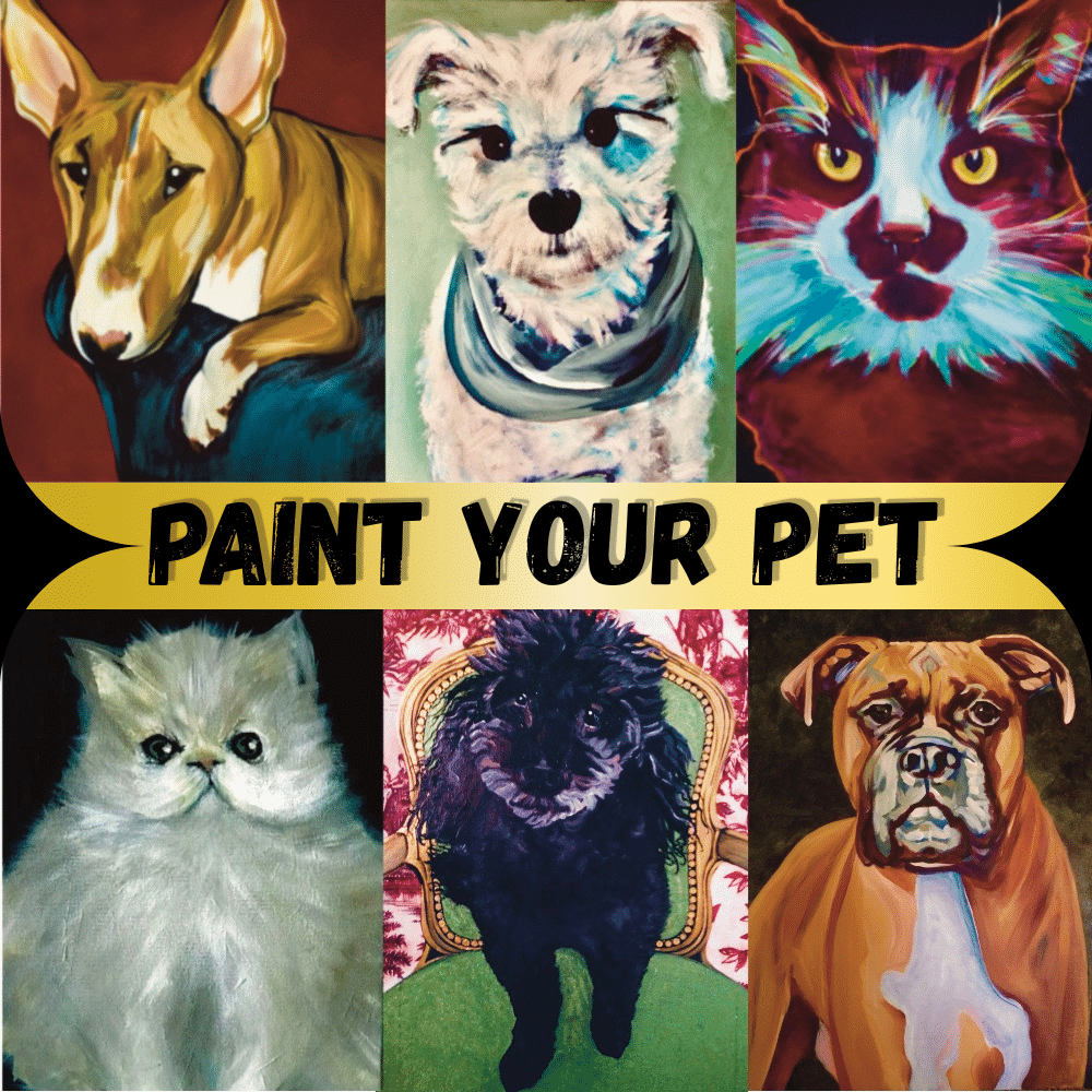 ABpaintpet