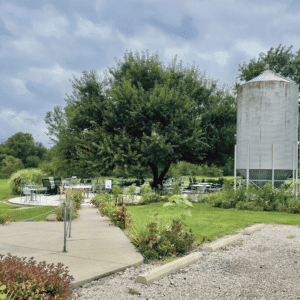 belgian horse winery patio