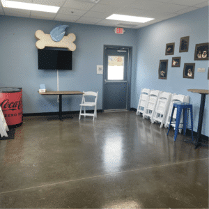 crate escapes party room interior