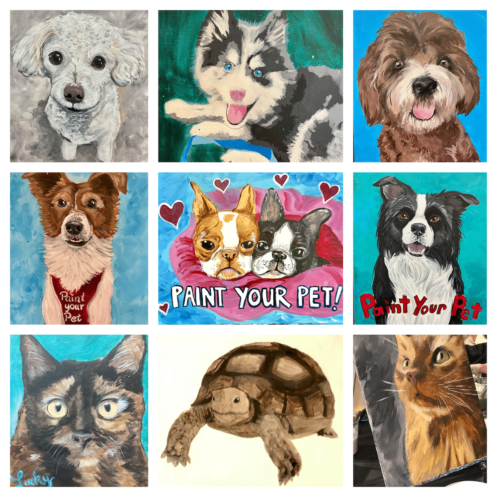 Martinsville - Paint Your Pet Fundraiser