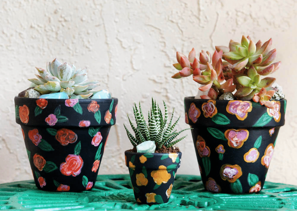 Downtown Paint and Sip - Flower Pots