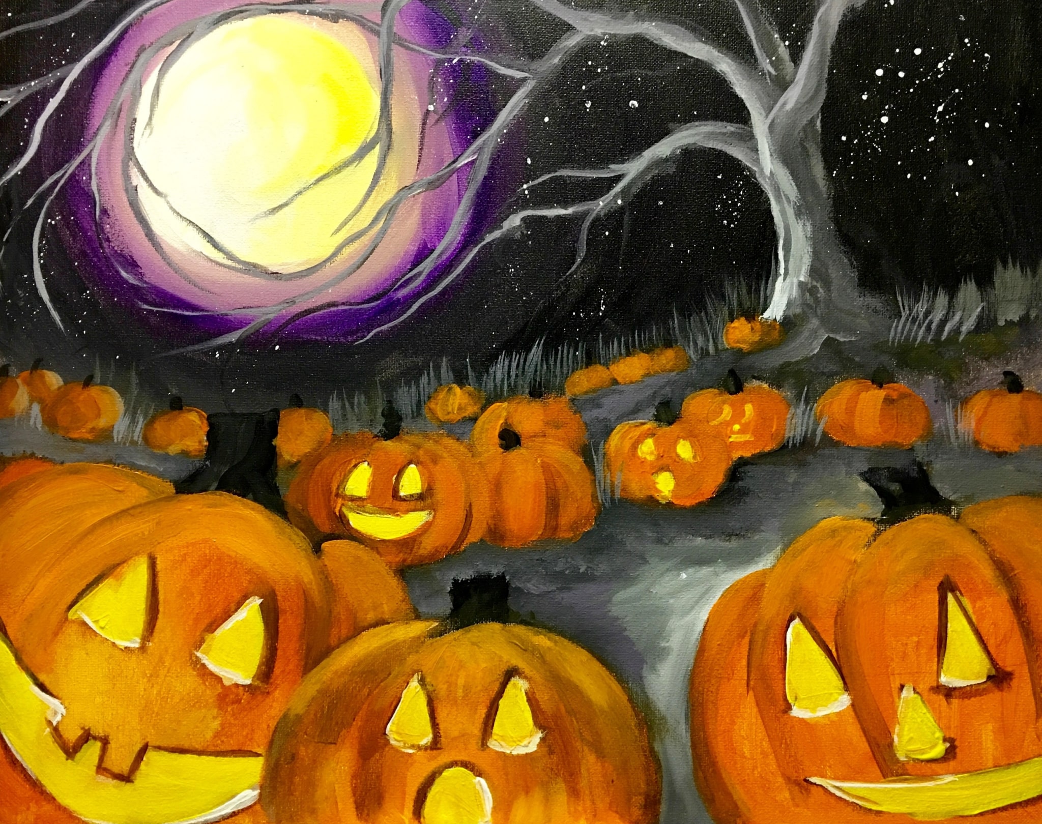 midnight pumpkin patch