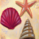 Sea Shore Shells