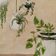 Hanging Garden