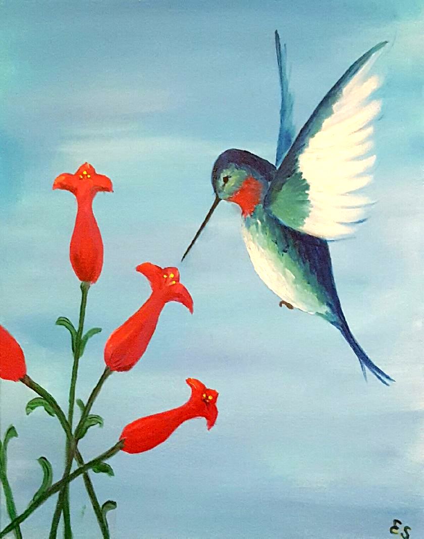 Humming Bird