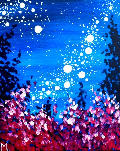 Bright Starry Night