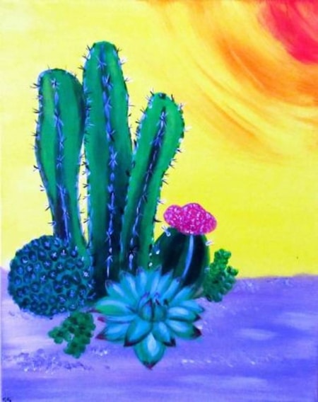 Cactus Garden