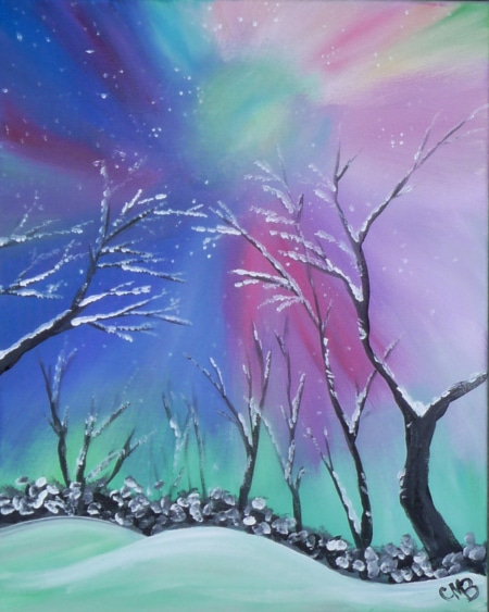 Northern Lights Feb