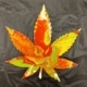 Cannabis Leaf Wood Pour