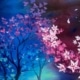 Spring is in the Air