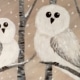 White Winter Owls