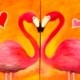 Flamingos in Love Date Night