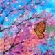 Beautiful Butterfly