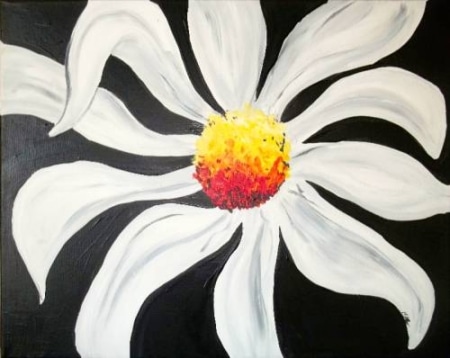 Daisy