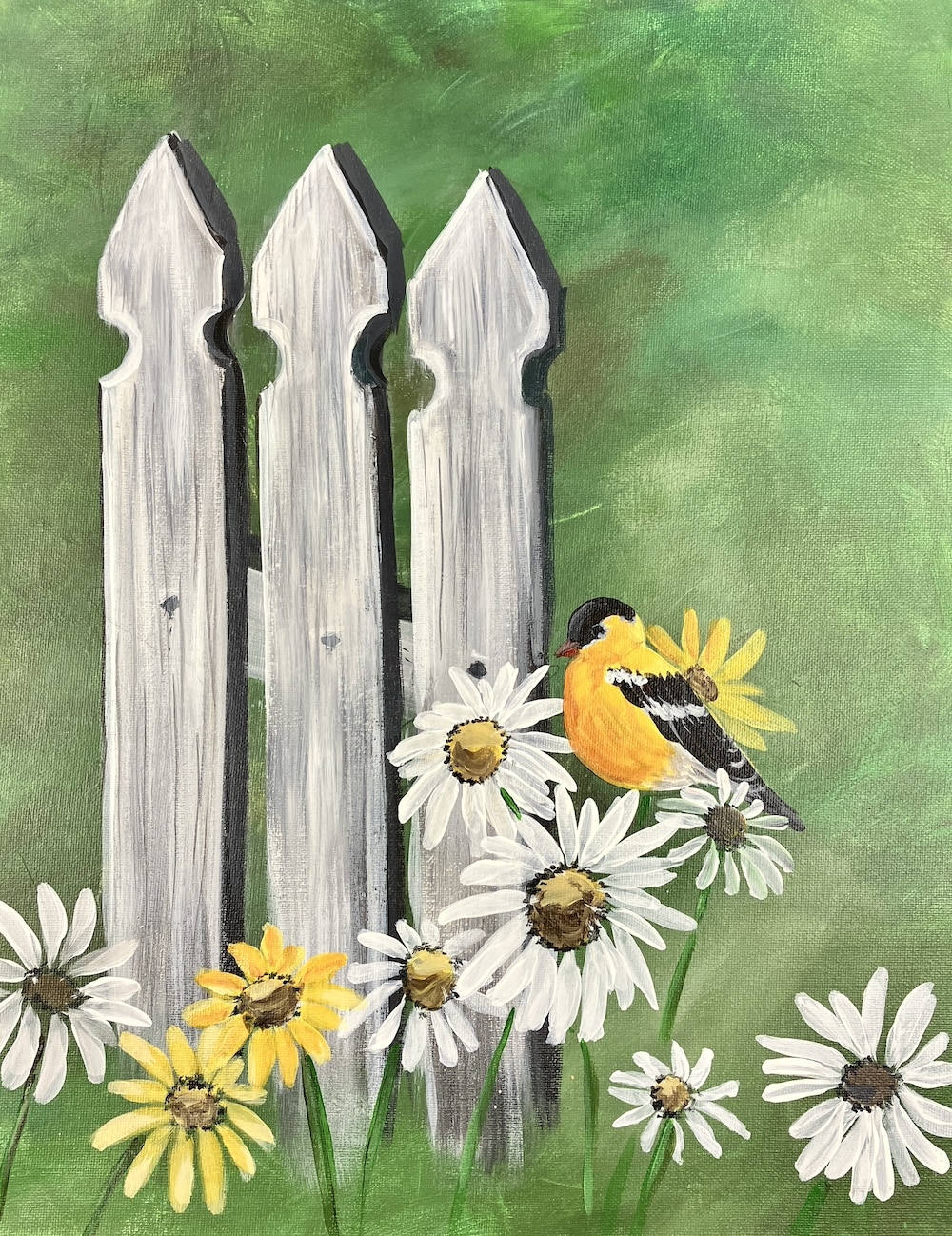 Daisy Finch