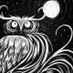 Wise Owl