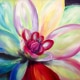 Summer Bloom