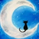 Over the Moon