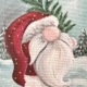 Santa Gnome