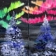 Northern Lights - Date Night
